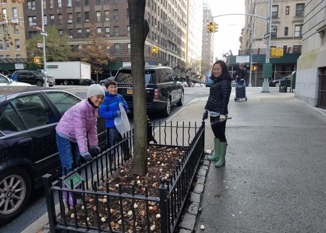 Bulb Planting 2018 3