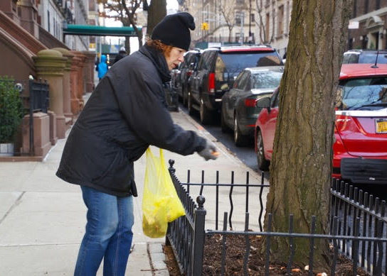 Bulb Planting 2018 4