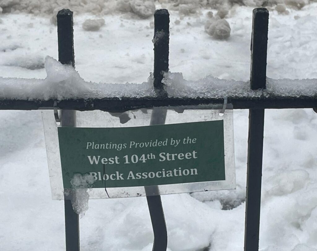 Tree guard in snow with a small sign reading, “Plantings provided by the West 104th Street Block Association.”