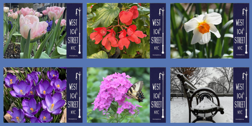 Block Association Notecards featuring a selection of flowers or snowy park bench.