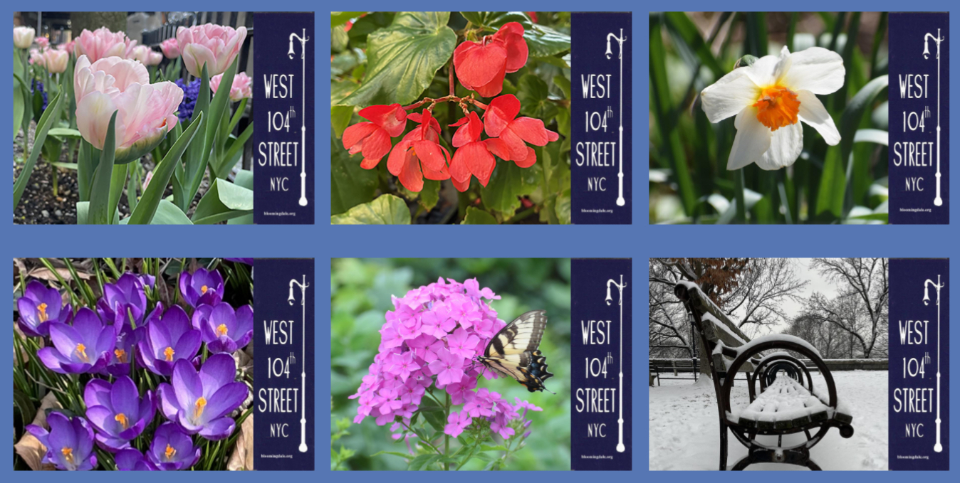 Block Association Notecards featuring a selection of flowers or snowy park bench.