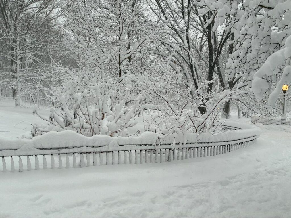 Scene of ice and snow covered Riverside Park promenade (upper level), fence and snow covered trees and bushes.