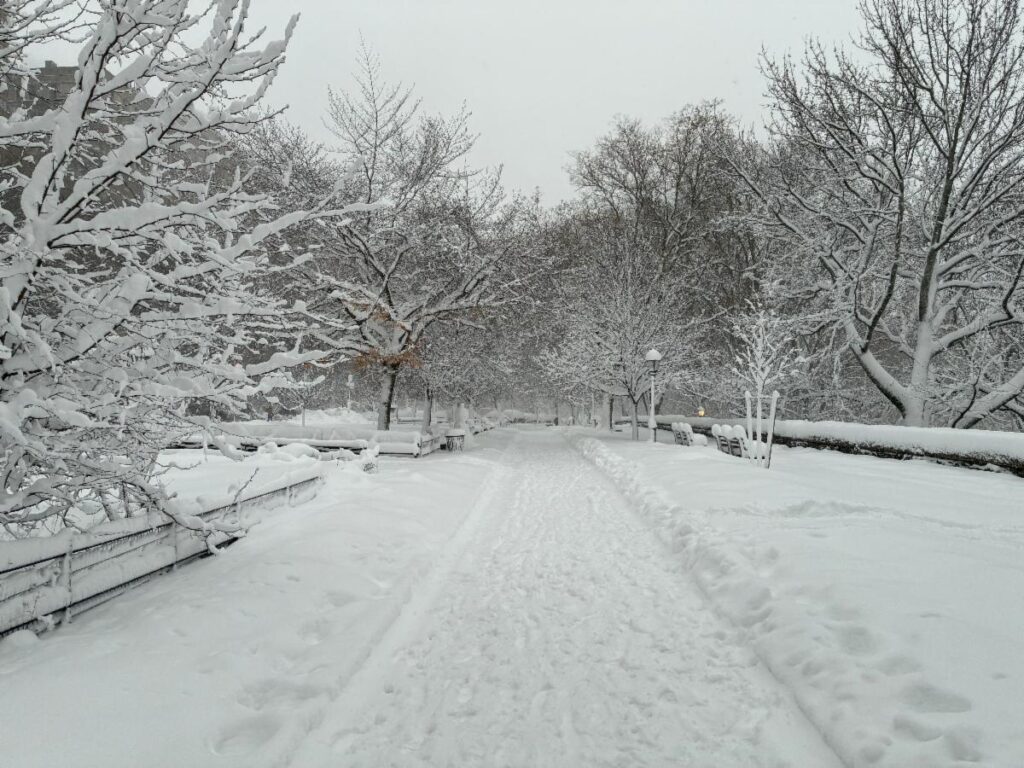 Snowy Riverside park promenade